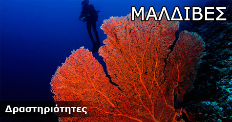 Δραστηριότητες στις Μαλδίβες